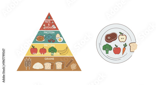 Healthy Eating Pyramid and Balanced Diet Plate Illustration