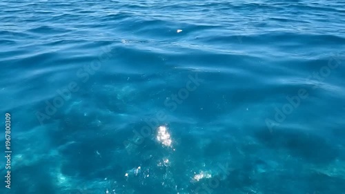 Crystal clear blue ocean water with gentle ripples and sunlight reflecting on the surface, creating a serene and tranquil aquatic environment