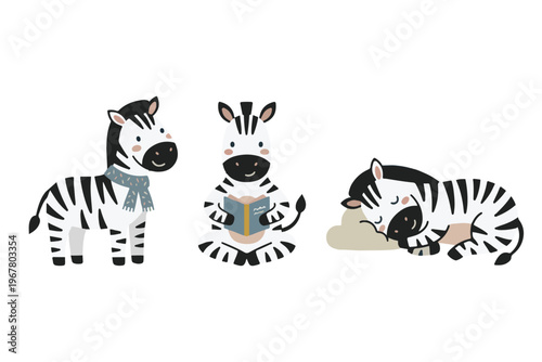 Cute baby zebra collection standing, reading book, and sleeping in scandinavian style vector illustration