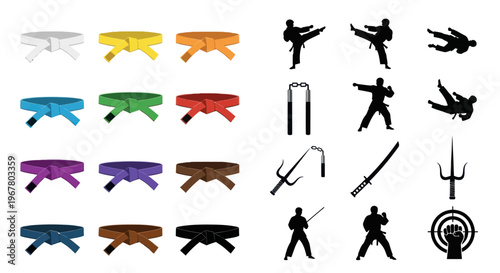 Martial Arts Belts and Silhouettes of Fighters with Weapons