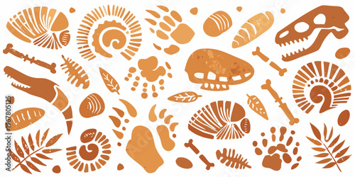 A collection of prehistoric fossils and dinosaur skeleton illustrations