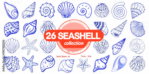 Collection of hand drawn seashells and starfish in blue line art