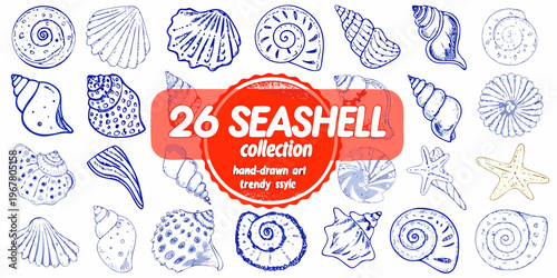 A collection of hand drawn blue seashell illustrations with a red label
