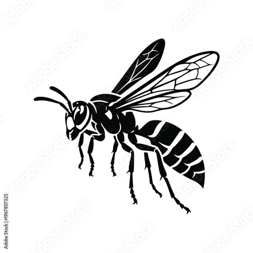 Black and white wasp drawing.