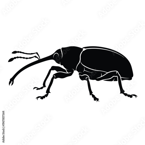 Black Weevil Silhouette Side View.