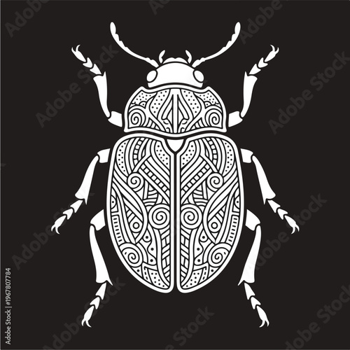 Detailed Beetle Insect Illustration.