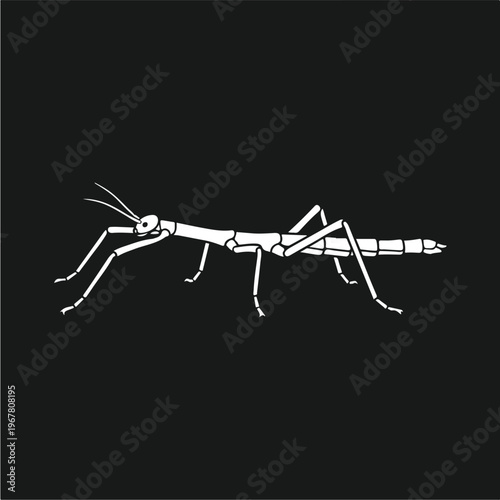 Praying Mantis Side View Illustration.