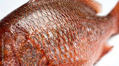 Close up of a fresh fish with shiny scales ingredient