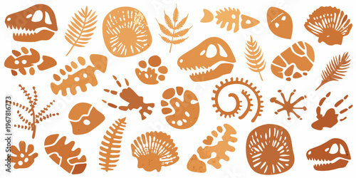 Ancient fossils and plant life are arranged in a patterned collage