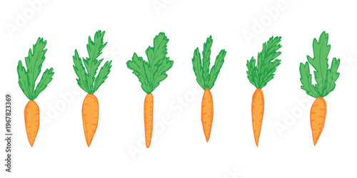 Hand drawn farm carrot plant with green leaves Fresh vegetable doodle set Healthy eco food Organic garden vegetarian food For design, print, packaging, decor, kids books
