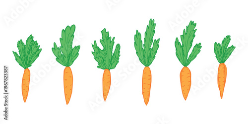Hand drawn farm carrot plant with green leaves Fresh vegetable doodle set Healthy eco food Organic garden vegetarian food For design, print, packaging, decor, kids books