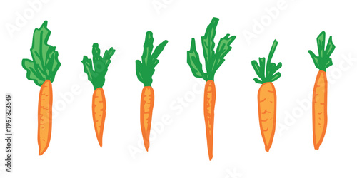 Hand drawn farm carrot plant with green leaves Fresh vegetable doodle set Healthy eco food Organic garden vegetarian food For design, print, packaging, decor, kids books
