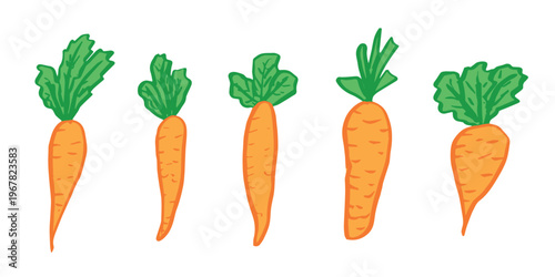 Hand drawn farm carrot plant with green leaves Fresh vegetable doodle set Healthy eco food Organic garden vegetarian food For design, print, packaging, decor, kids books