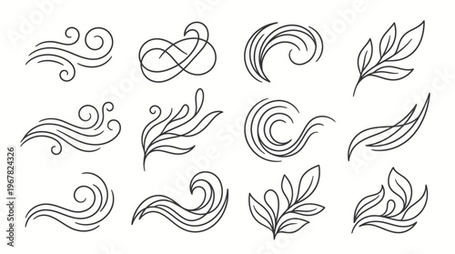 Set of elegant hand-drawn line art decorative elements featuring swirls, waves, and stylized botanical branches on a white background.