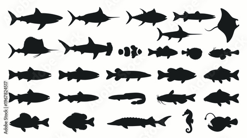 Silhouettes of various marine animals including different types of fish, sharks, rays, and other aquatic creatures on a white background.