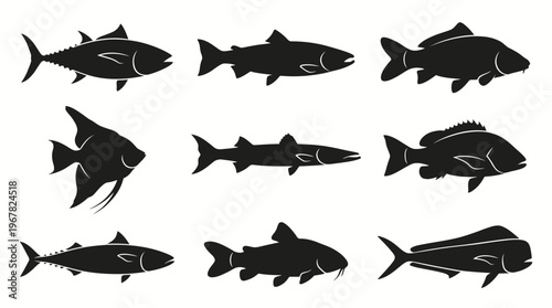 Collection of various fish silhouettes including tuna, salmon, carp, angelfish, shark, bass, catfish, and marlin, isolated on a white background.