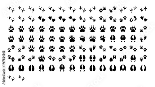 A comprehensive collection of black silhouette animal footprints and paw prints, showcasing various species tracks.