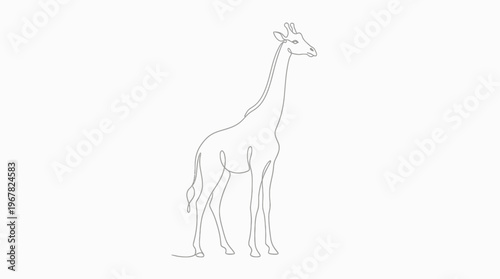 A single continuous line drawing of a giraffe standing on a white background.
