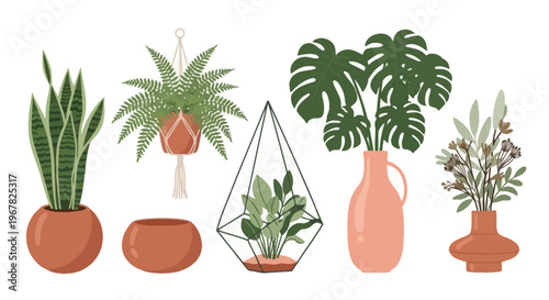 Curated collection of vibrant indoor houseplants in various stylish pots and planters, bringing natural beauty and contemporary botanical charm to any modern interior design