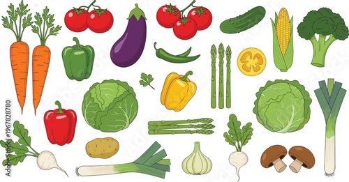 Vegetable flat vector collection. Fresh organic vegetables including carrot tomato eggplant broccoli corn and cabbage. Healthy food illustrations for cooking, grocery, vegan and farm design.