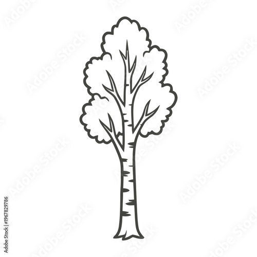 Simple birch tree illustration