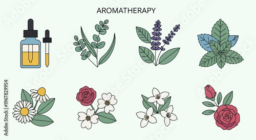 Aromatherapy Essential Oils & Botanical Illustrations: Herbs, Flowers, Dropper Bottle