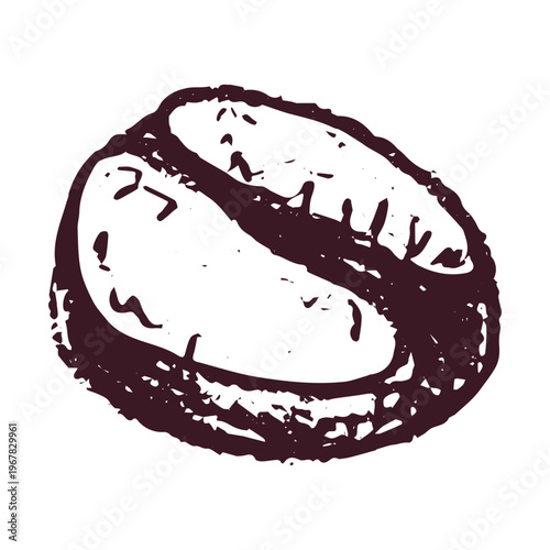 Hand drawn fresh roasted coffee bean Arabica robusta seed doodle Single element for print, web, design, decor