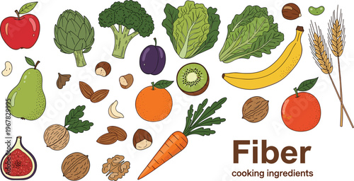 High fiber foods vector illustration set. Fruits vegetables grains and nuts collection. Healthy nutrition ingredients for diet digestion wellness and cooking design.
