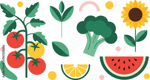 Healthy food flat vector composition. Tomato broccoli citrus watermelon and sunflower elements. Fresh organic fruits and vegetables for vegan diet nutrition and cooking design.