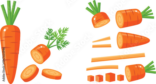 Carrot vegetable flat vector set. Whole sliced and chopped carrot pieces with green leaves. Fresh healthy food illustration for cooking design, recipe graphics and organic produce visuals.