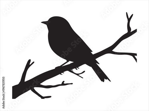 Black silhouette of a bird on a branch flat vector, Silhouette of bird perched on tree branch, minimal wildlife vector illustration