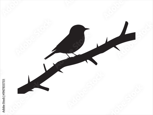 A black bird perched on a branch vector, Bird on Branch Silhouette, Small Songbird Perched on Tree Branch Nature Icon Isolated on White Background