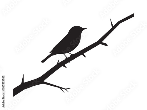 A black bird perched on a branch vector, Bird on Branch Silhouette, Small Songbird Perched on Tree Branch Nature Icon Isolated on White Background