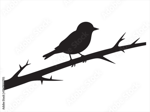 A black bird perched on a branch vector, Bird on Branch Silhouette, Small Songbird Perched on Tree Branch Nature Icon Isolated on White Background