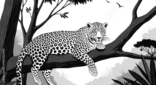 Majestic leopard resting calmly on a thick tree branch in the jungle in a black and white nature scene illustration.
