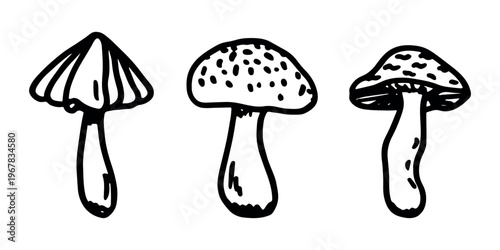 Hand drawn mushroom doodle set Botanical illustration Cute autumn mushroom Healthy eco food Organic vegetarian food For stickers, greeting card, design, print, packaging, decor, kids books
