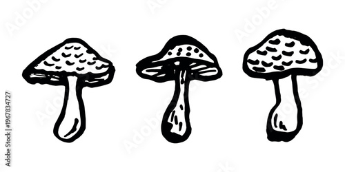 Hand drawn mushroom doodle set Botanical illustration Cute autumn mushroom Healthy eco food Organic vegetarian food For stickers, greeting card, design, print, packaging, decor, kids books