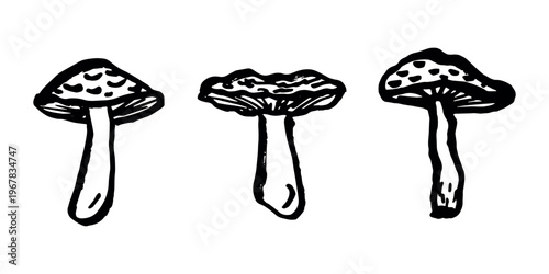 Hand drawn mushroom doodle set Botanical illustration Cute autumn mushroom Healthy eco food Organic vegetarian food For stickers, greeting card, design, print, packaging, decor, kids books