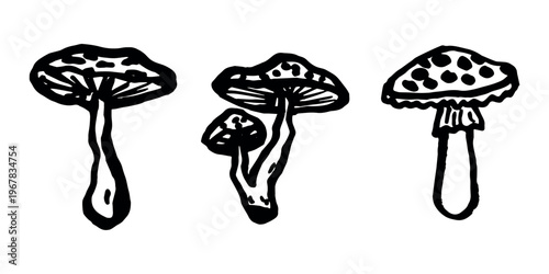 Hand drawn mushroom doodle set Botanical illustration Cute autumn mushroom Healthy eco food Organic vegetarian food For stickers, greeting card, design, print, packaging, decor, kids books