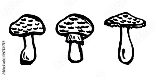 Hand drawn mushroom doodle set Botanical illustration Cute autumn mushroom Healthy eco food Organic vegetarian food For stickers, greeting card, design, print, packaging, decor, kids books