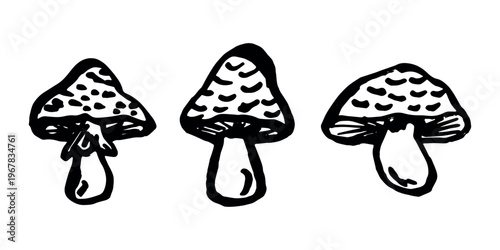 Hand drawn mushroom doodle set Botanical illustration Cute autumn mushroom Healthy eco food Organic vegetarian food For stickers, greeting card, design, print, packaging, decor, kids books