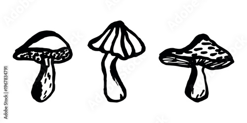 Hand drawn mushroom doodle set Botanical illustration Cute autumn mushroom Healthy eco food Organic vegetarian food For stickers, greeting card, design, print, packaging, decor, kids books