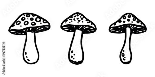 Hand drawn mushroom doodle set Botanical illustration Cute autumn mushroom Healthy eco food Organic vegetarian food For stickers, greeting card, design, print, packaging, decor, kids books