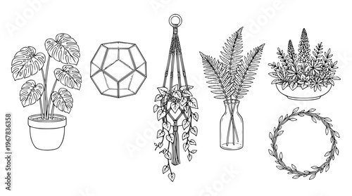 Various plants and planters in a vector graphic illustration
