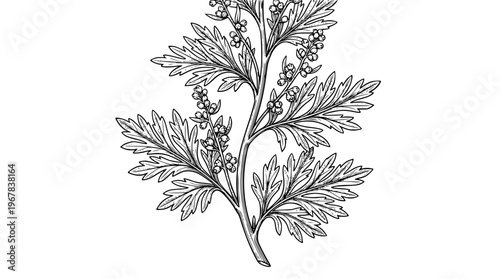 Detailed vector illustration of a flowering plant branch design