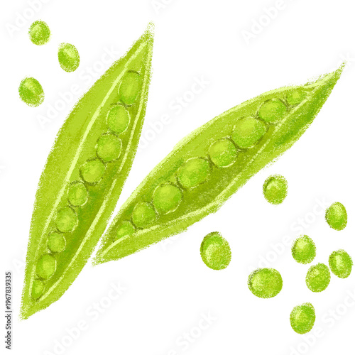 Green peas hand drawn crayon textured illustration for design element.