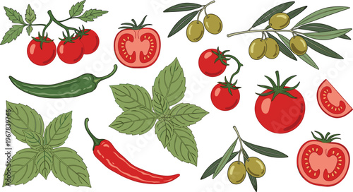 Mediterranean vegetables and herbs flat vector set. Tomatoes, olives, chili pepper, cucumber, and fresh mint leaves. Organic food illustrations for cooking, recipes, and healthy lifestyle design.