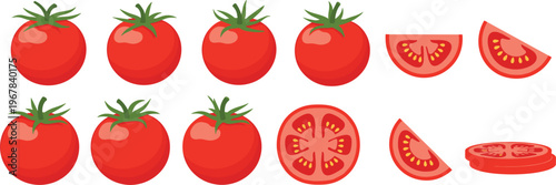 Tomato vector set with whole fruits and sliced pieces. Fresh red tomatoes with wedges and round cuts. Organic food illustration for cooking and grocery design.