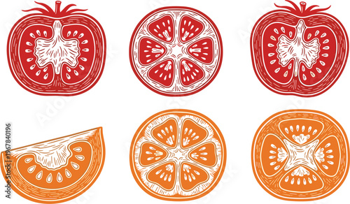 Tomato slice engraving vector set with cross sections and wedges. Red and orange line art style. Fresh organic food illustration for cooking and design.