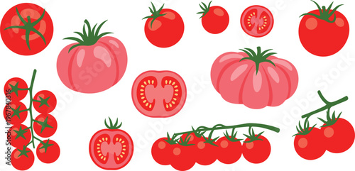 Tomato varieties vector set with whole fruits, slices, and cherry clusters. Different shapes and sizes of fresh tomatoes. Organic food illustration for cooking and grocery design.